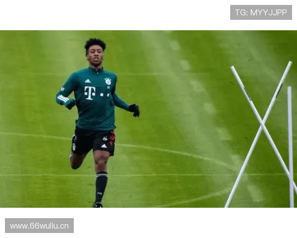 热刺或花三千万欧元买断帕利尼亚 球员更愿留队无意重返拜仁